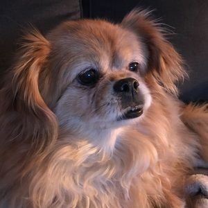 Meet your Posher, Eve